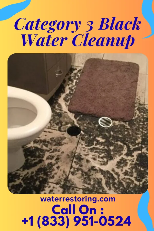 Category 3 Black Water Cleanup in Paint Rock, TX